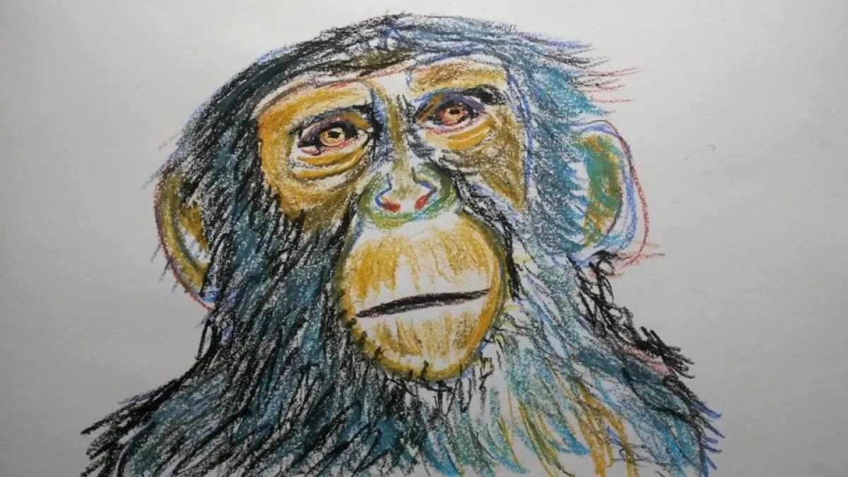 Monkey 2, œuvre de Fred Touraine