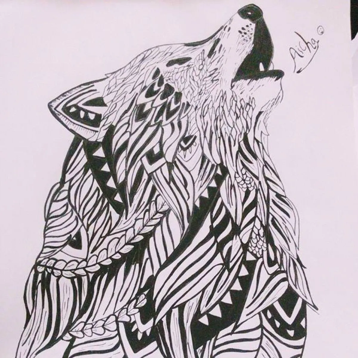 a zentagle  wolf, œuvre de aisha essa