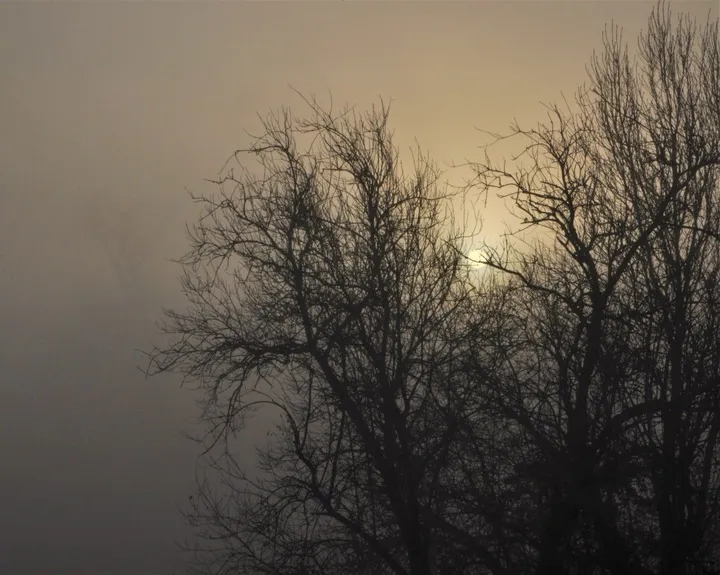 Here comes the sun, œuvre de Julien Nalia