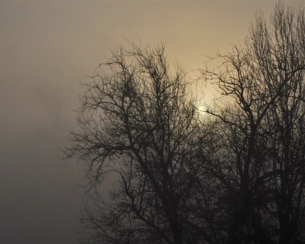 Here comes the sun, œuvre de Julien Nalia