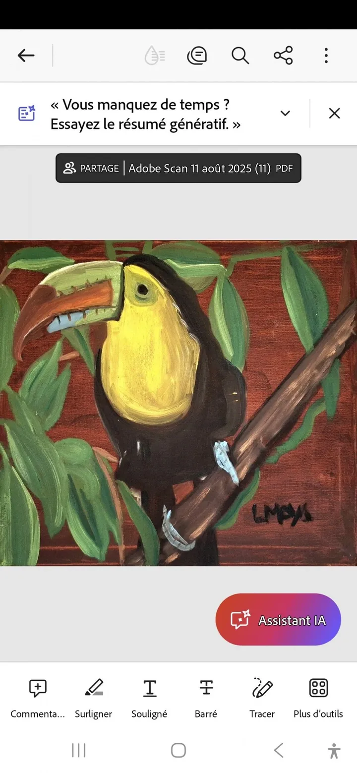 Toucan, œuvre de Ligia Moya