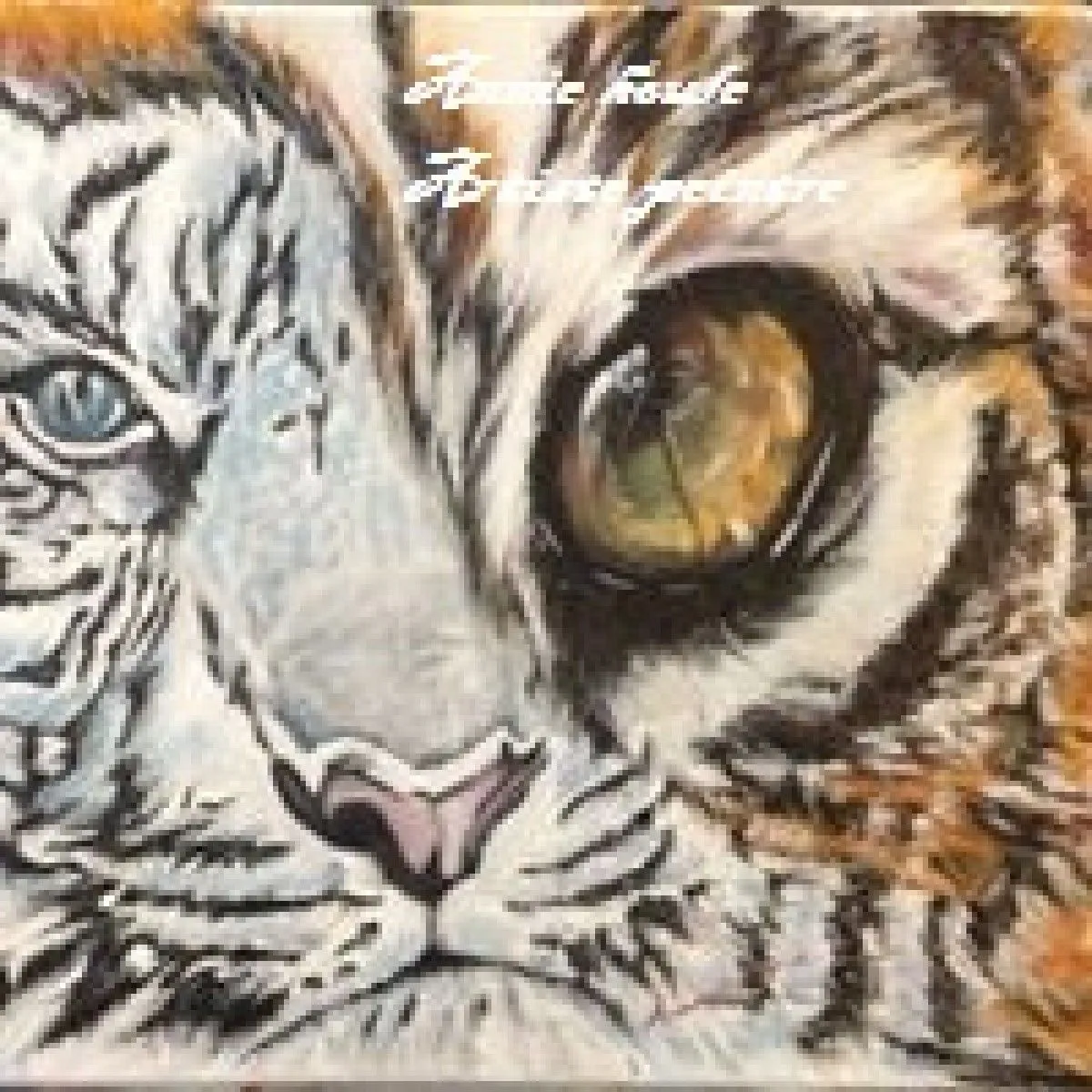 Dans l'oeil du tigre, œuvre de Annie RAX Houle