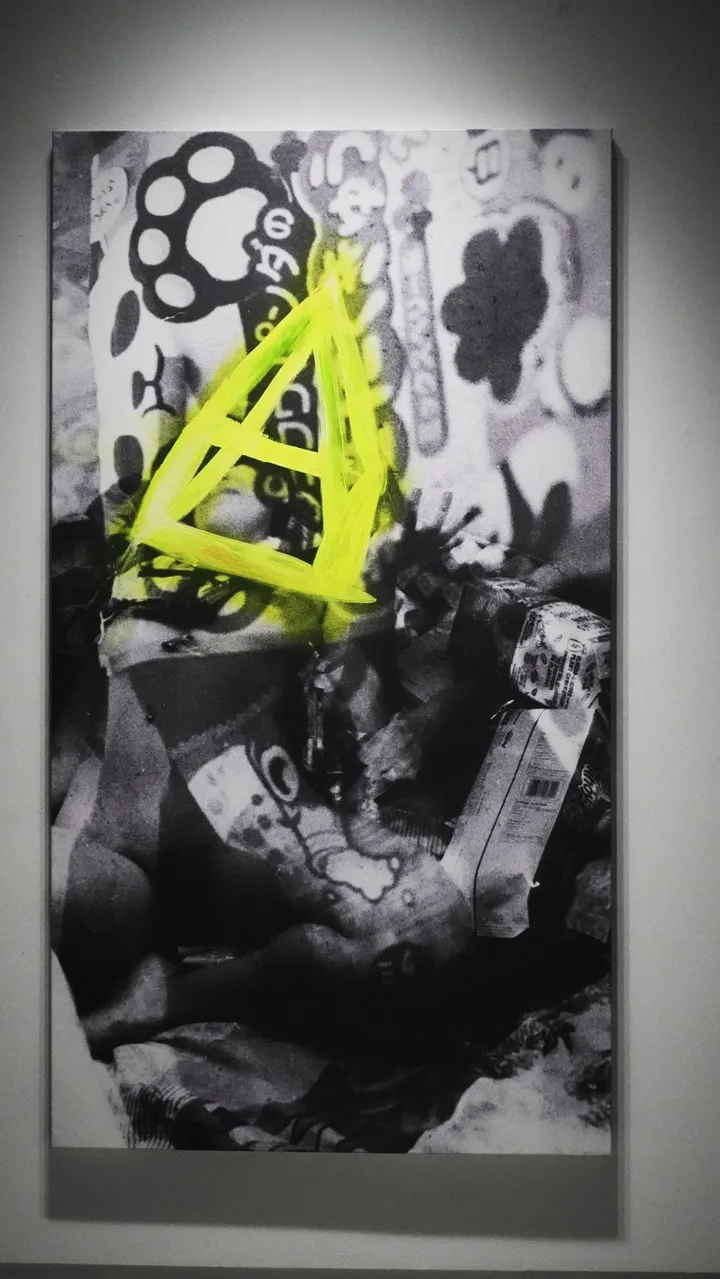 Série un Layon Poétique : Trash fuck in, œuvre de Véronique Paprosky