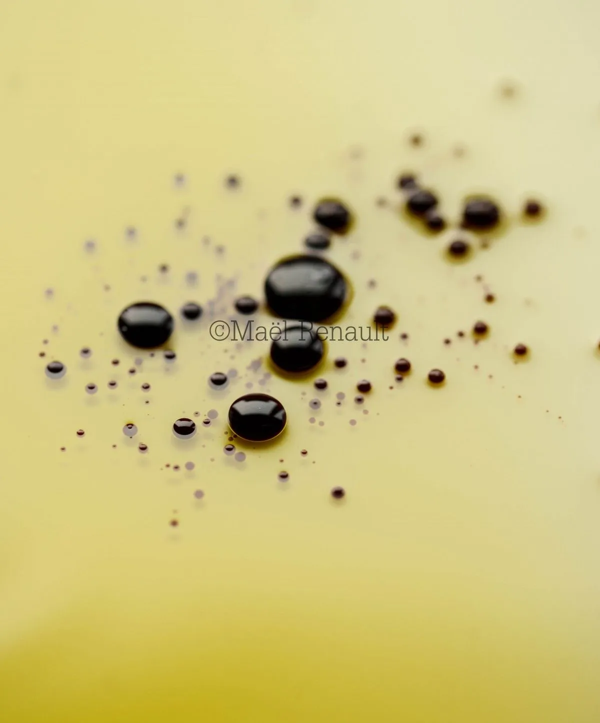 splash of balsamic, artwork by Maël Renault