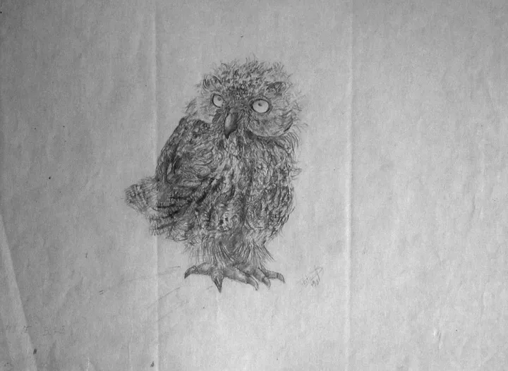 Owl baby, artwork by Dragos Botezat