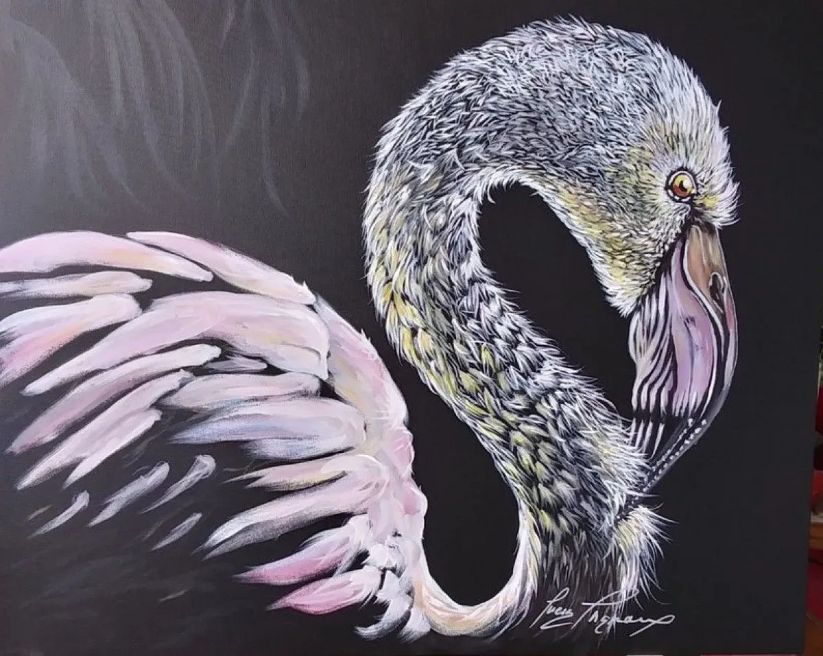 Greater Flamingo, artwork by Lucie Theroux