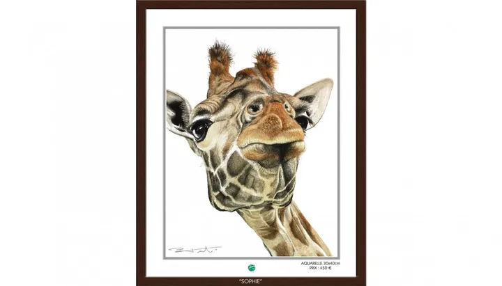 "SOPHIE" La girafe, artwork by Pierre Frutschi