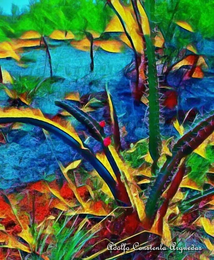 Colores en gestación, œuvre de Adolfo Constenla