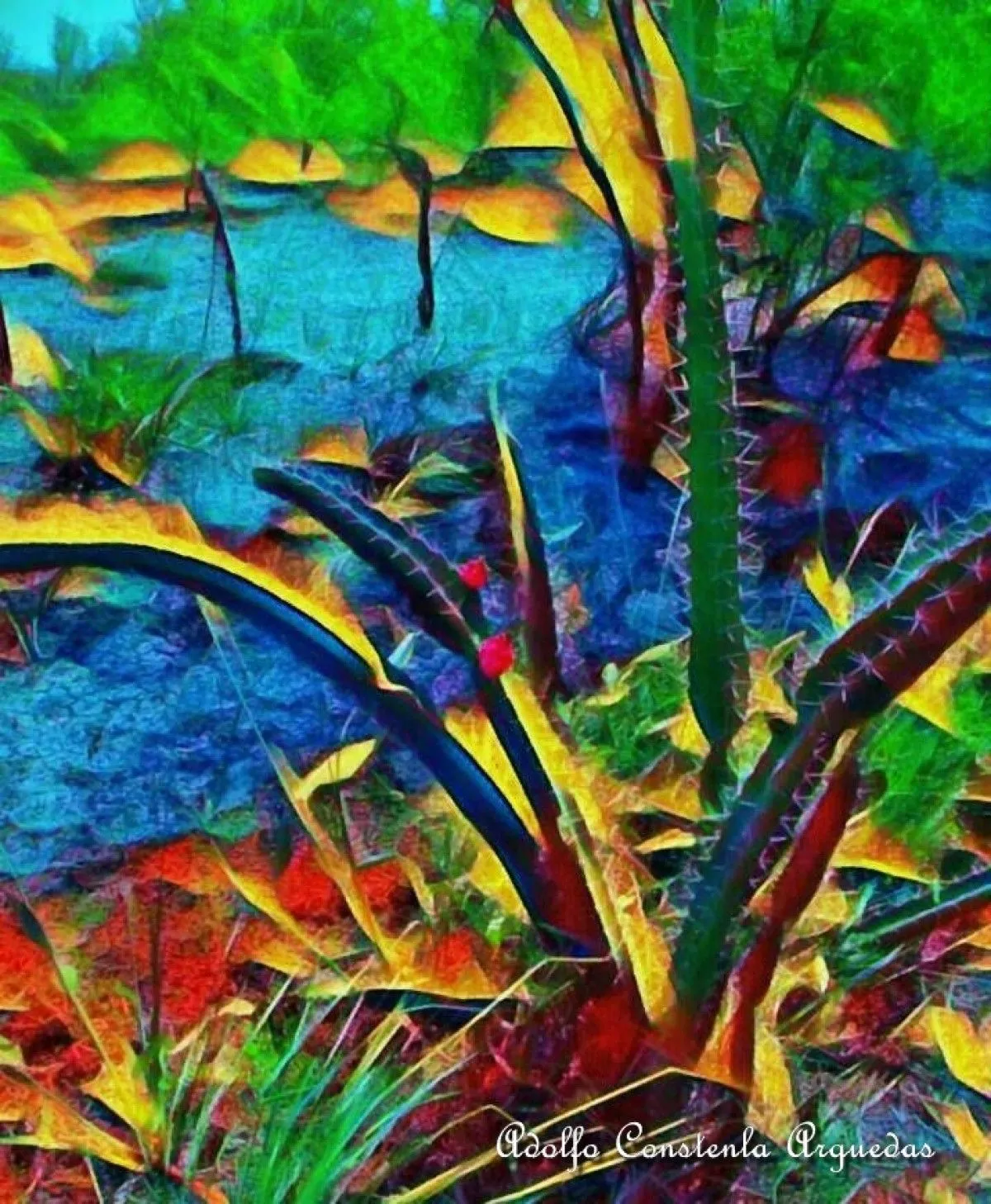 Colores en gestación, artwork by Adolfo Constenla