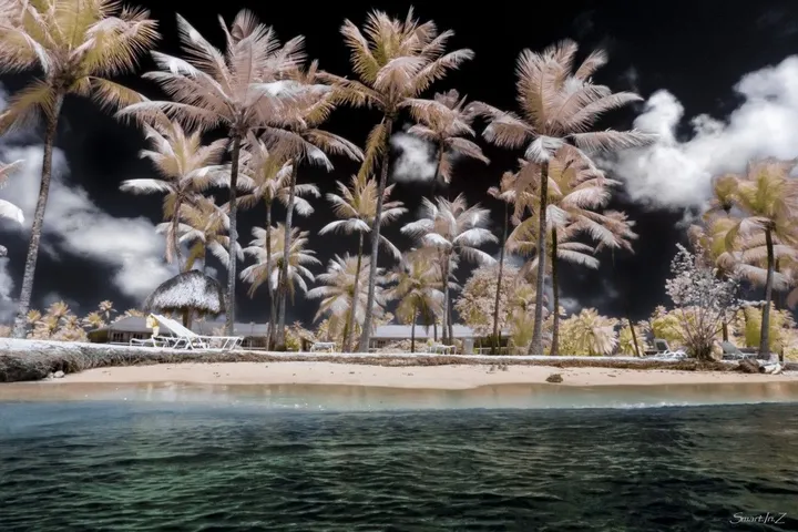 Carribean winter, œuvre de Stéphane MARTINEZ