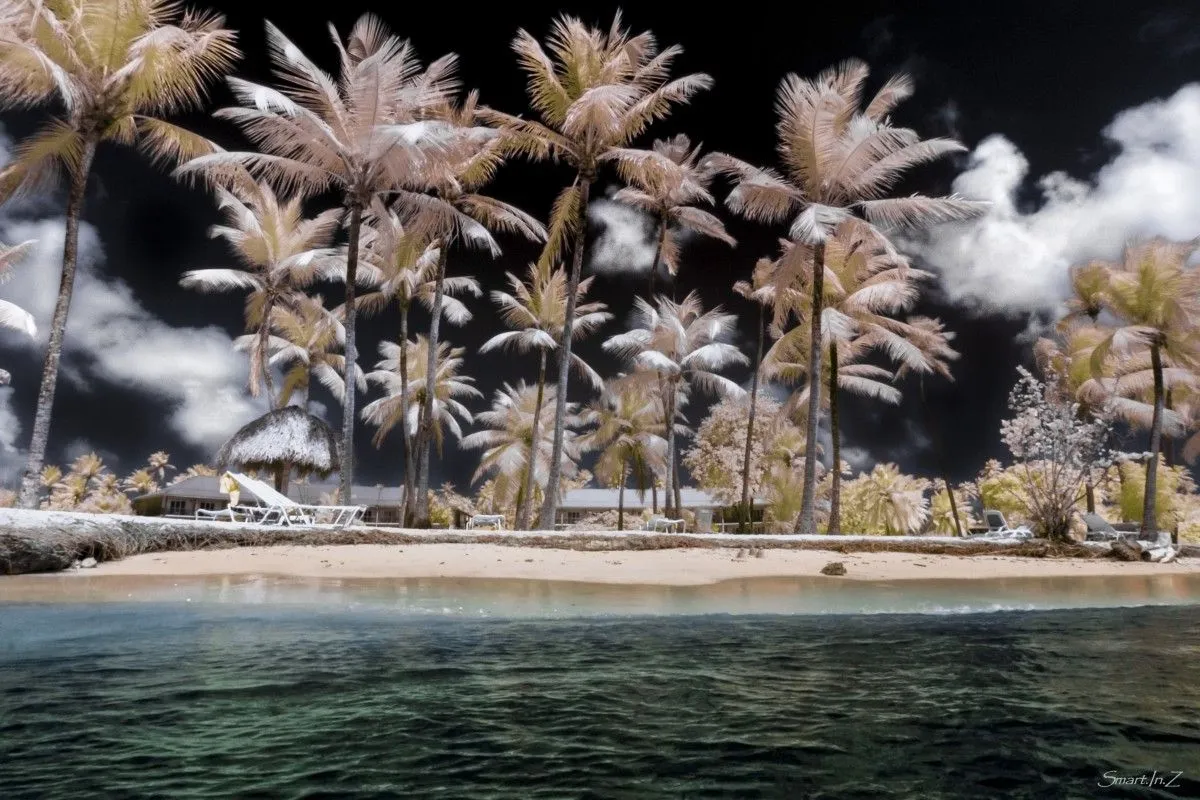 Carribean winter, œuvre de Stéphane MARTINEZ