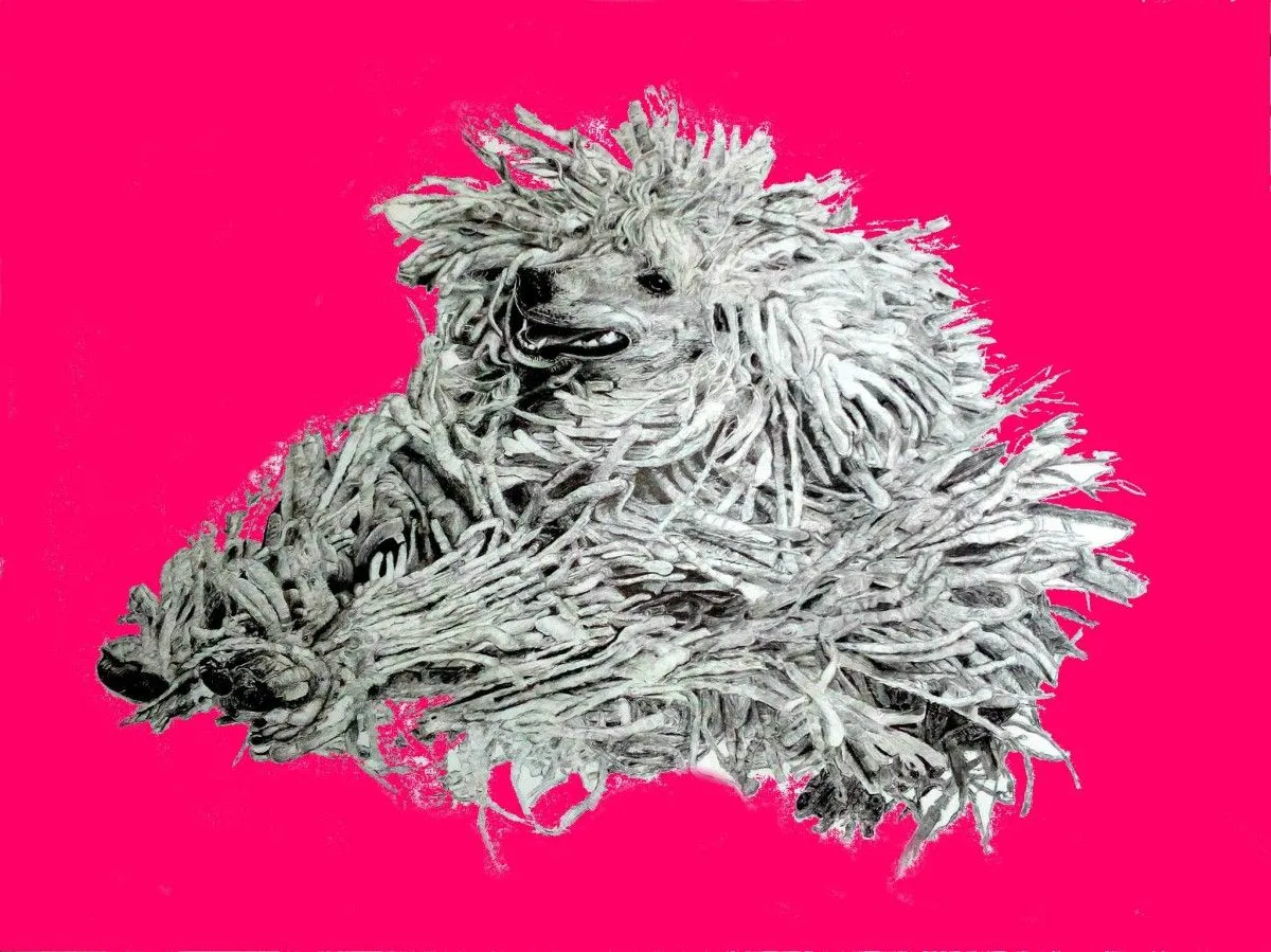 Rose dog, artwork by sandra pissarra
