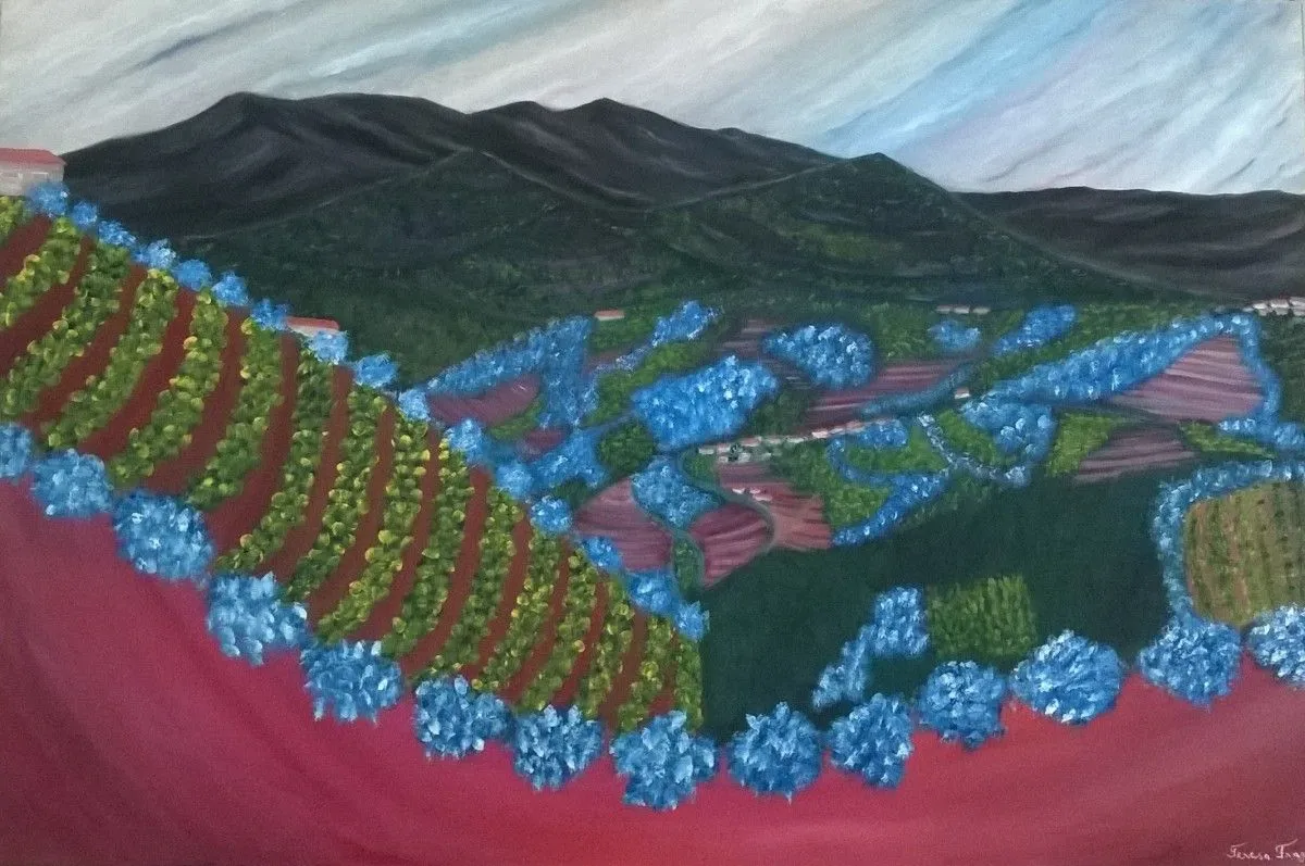 Douro Sublimado, œuvre de Teresa Fraga