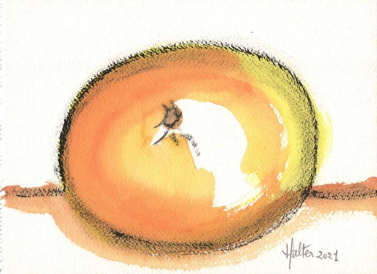 Pamplemousse, œuvre de Alain HALTER