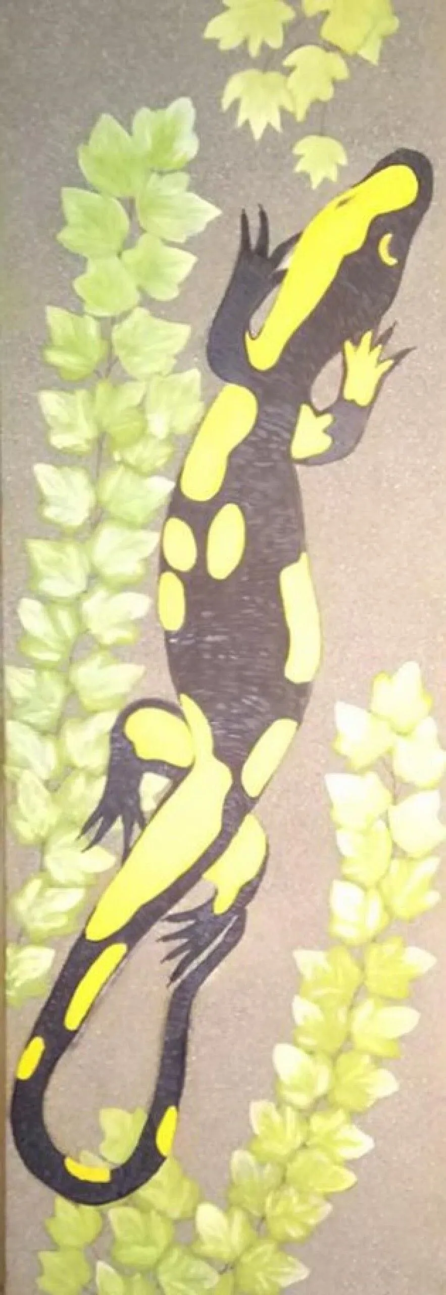 Salamandre, œuvre de Viviane RINCK