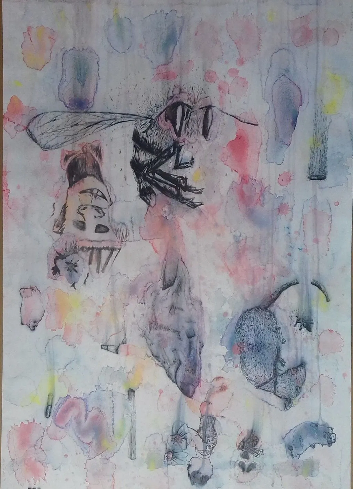 "killa bee", artwork by Sifiso Temba