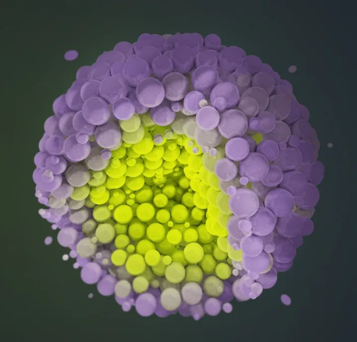 Sphere of Spheres, artwork by Viswesh Warrier