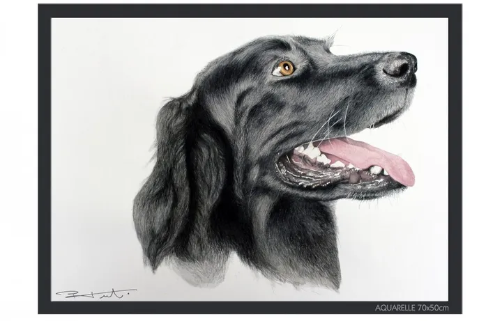 "FLAT RETRIEVER", œuvre de Pierre Frutschi