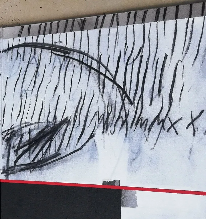 More and more., œuvre de Mojca Senegacnik