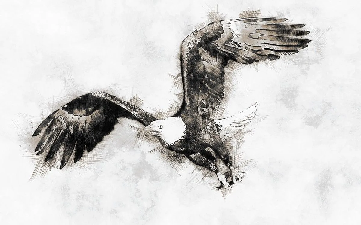 African Fish Eagle, artwork by Dries Volschenk