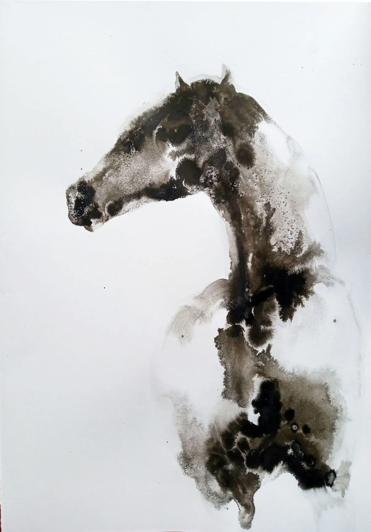 POrtrait, artwork by marija colic