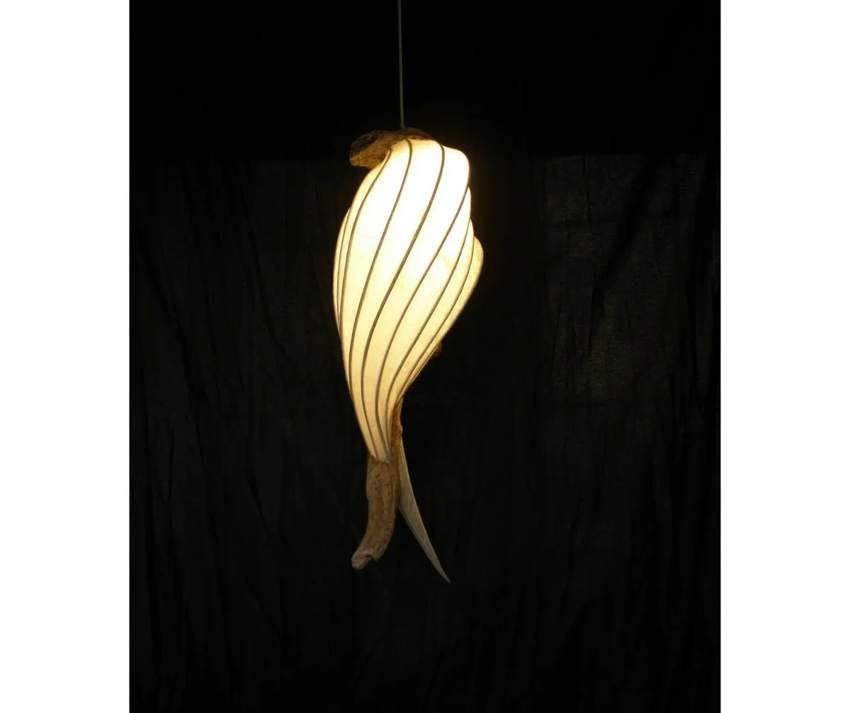 cocoon, artwork by Tassos Kodos