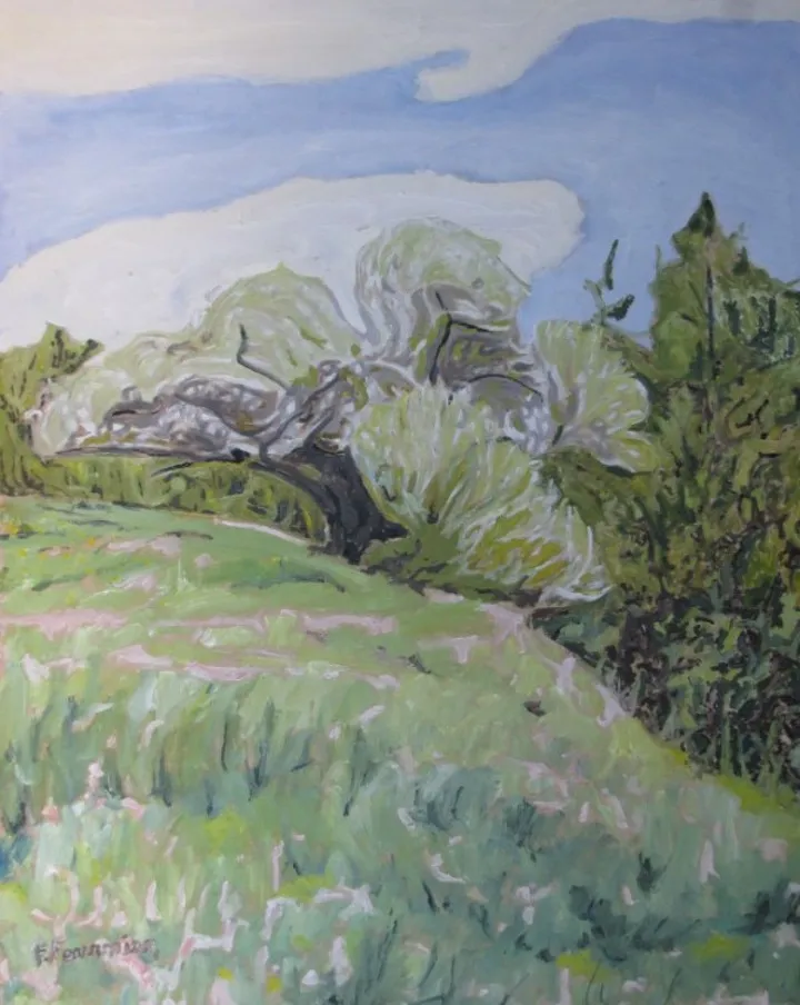 Wild Blossom, œuvre de Francois Fournier