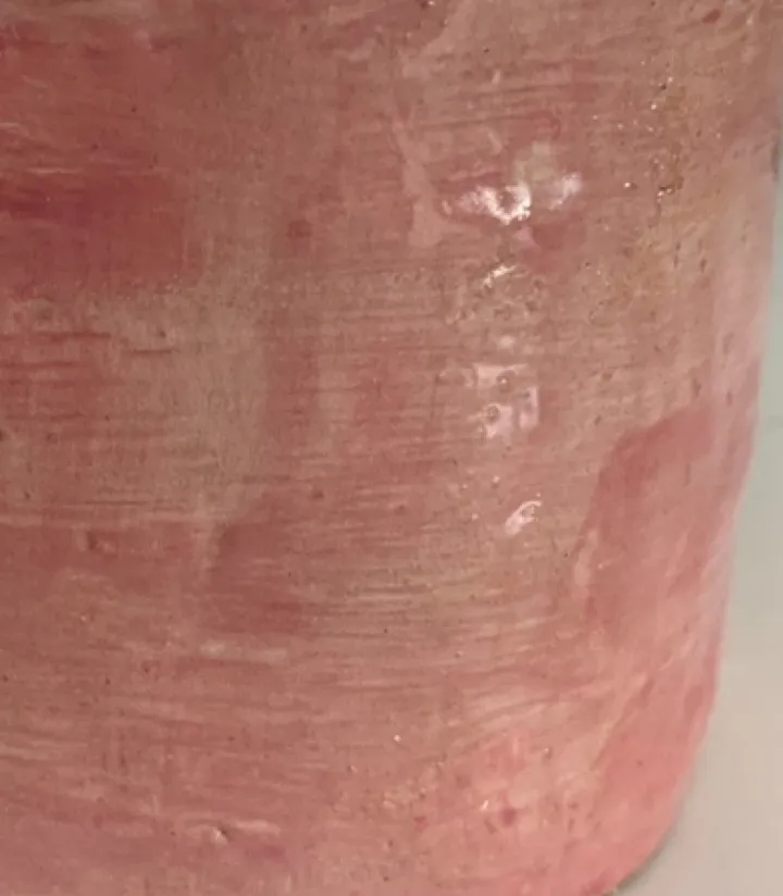 Pot de fleurs rose, œuvre de Anne Cellier