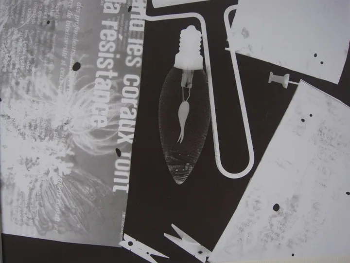 Sérigraphie, artwork by Sarah Agathe SALOMON