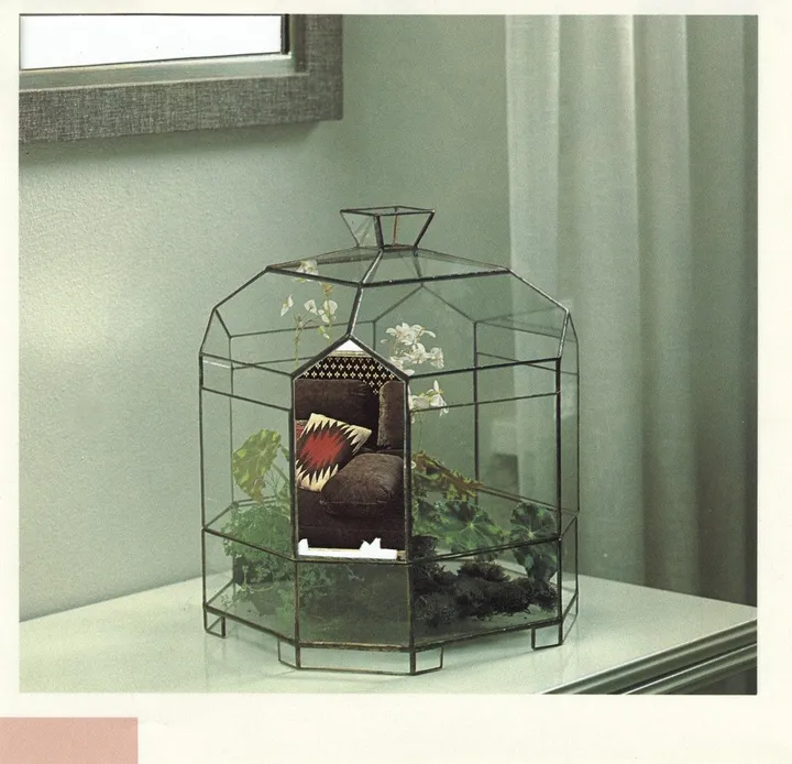 Terrarium, artwork by Michèle F.