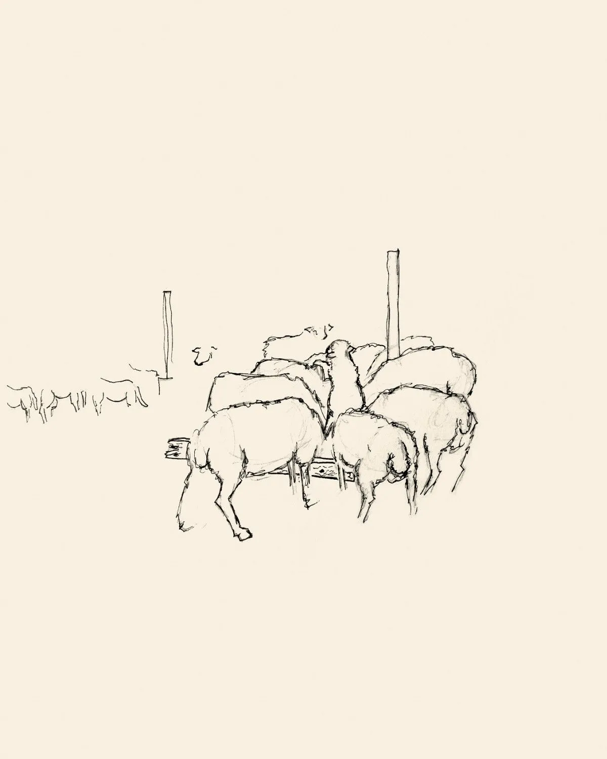 Borrego, artwork by Miguel Calhau