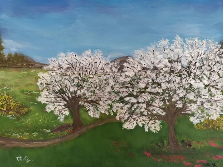cerisier en fleurs, artwork by Alexandra Guillon
