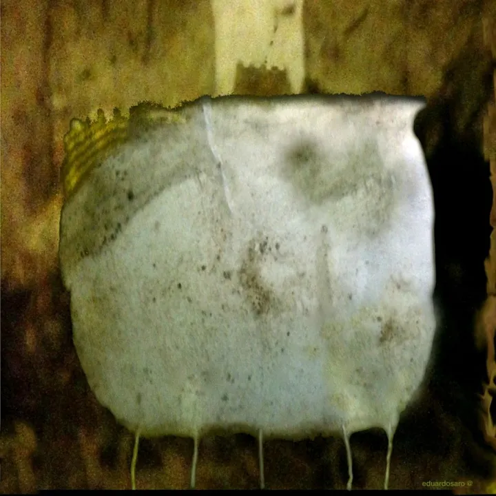 Tienen Invitación ?, œuvre de Eduardo Saro
