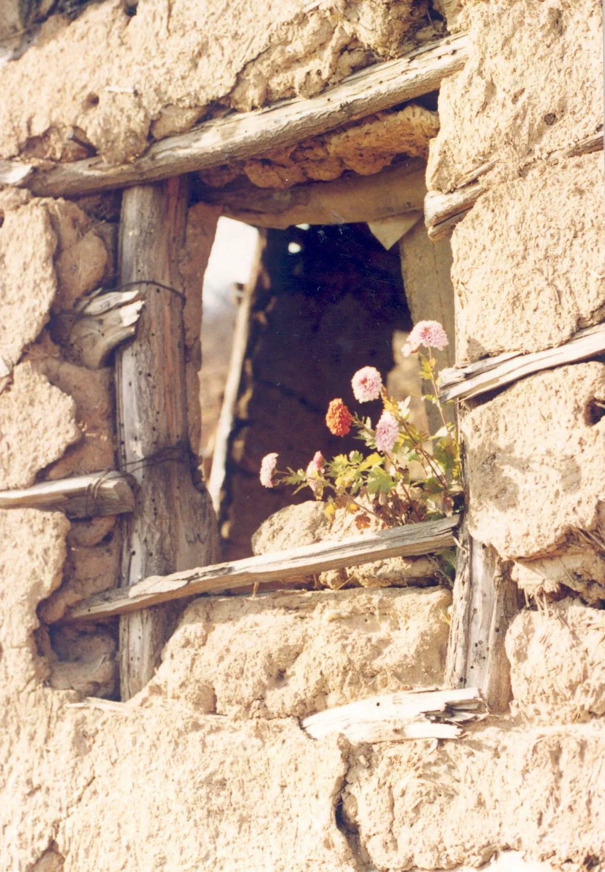 WINDOW IN THE WORLD, œuvre de GORAN PANCIC