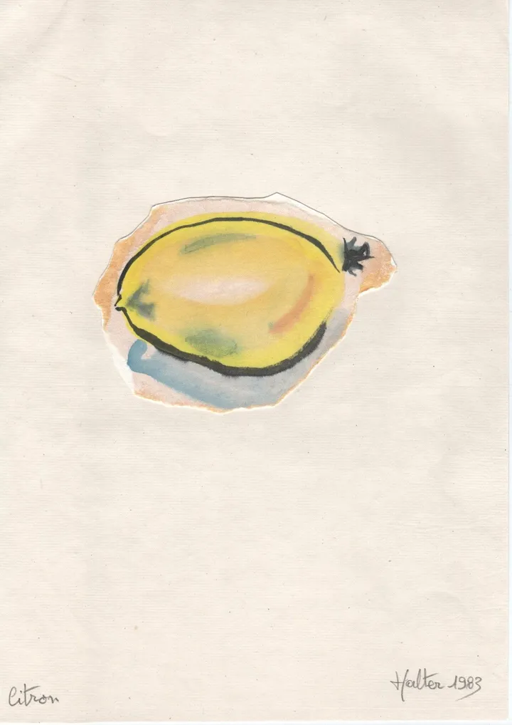 Citron, œuvre de Alain HALTER