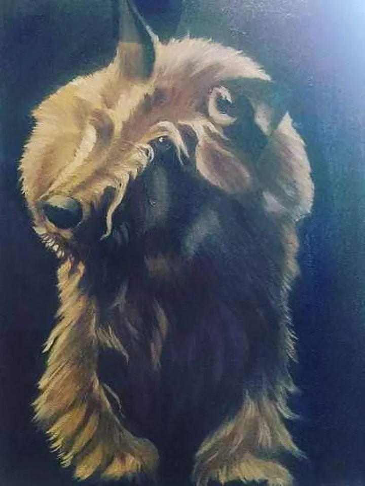Dog, œuvre de Richard David Mant