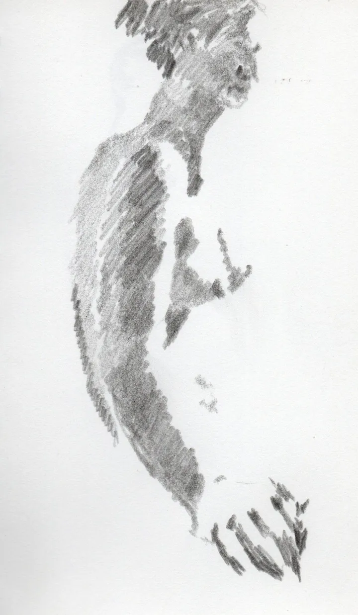 Nu Crayon Gris, œuvre de Zarts, MaudéE Zarts