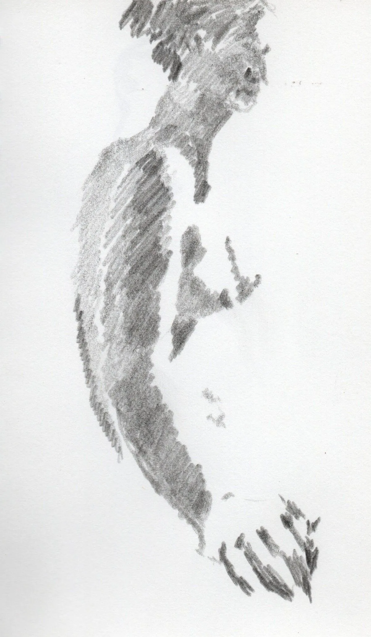 Nu Crayon Gris, artwork by Zarts, MaudéE Zarts