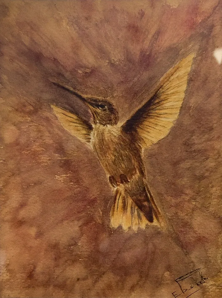 colibri, artwork by Eric PAWLAK