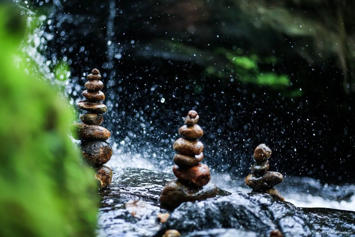 Balance of Nature, artwork by Sachin Redpixels