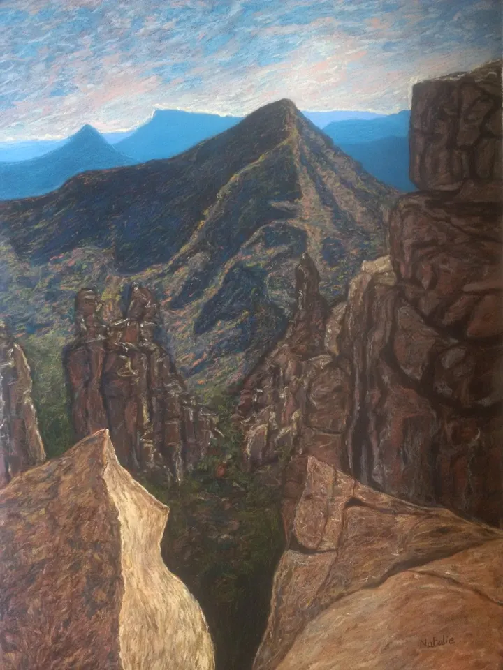 'Valley of Desolation', œuvre de Natalie van Wyk