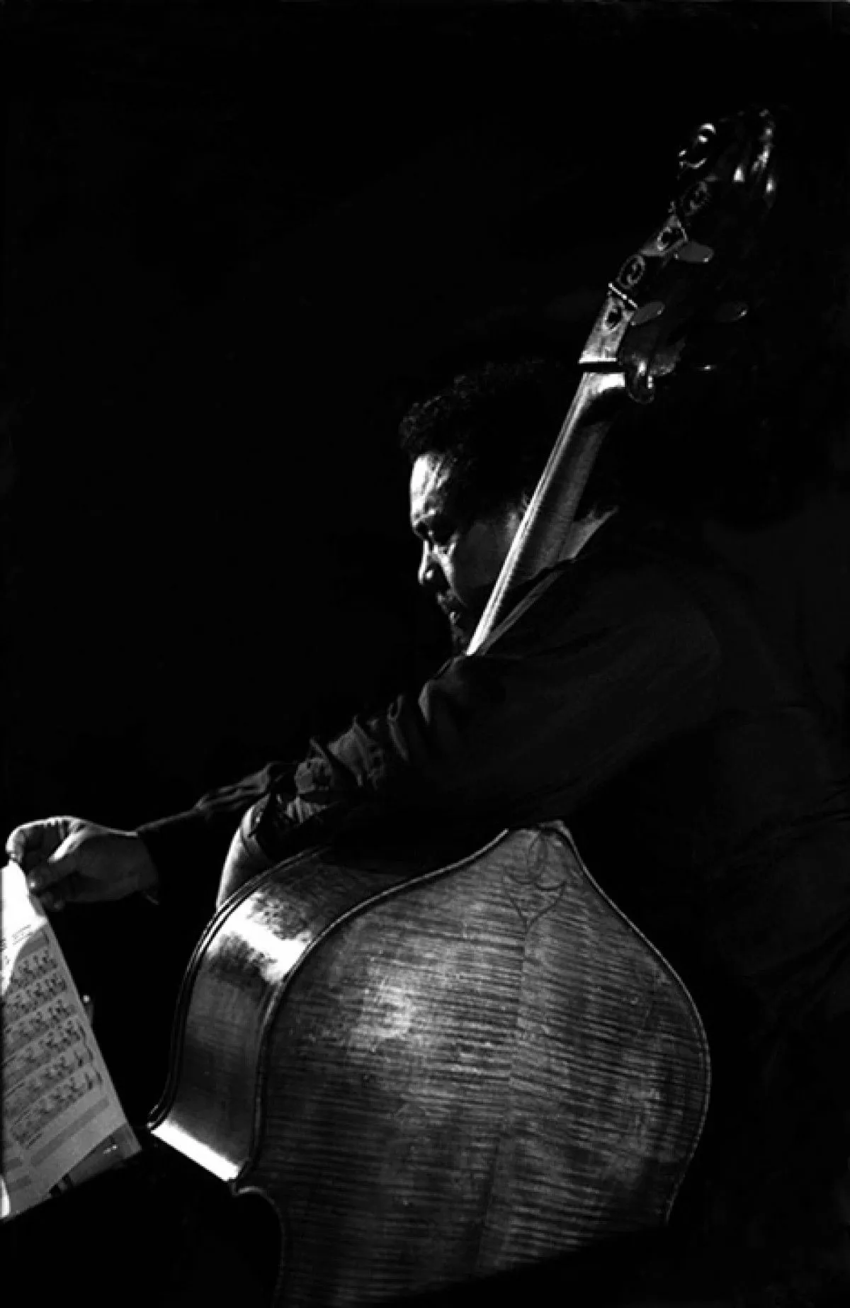 Charlie Mingus, artwork by Stephen Verona
