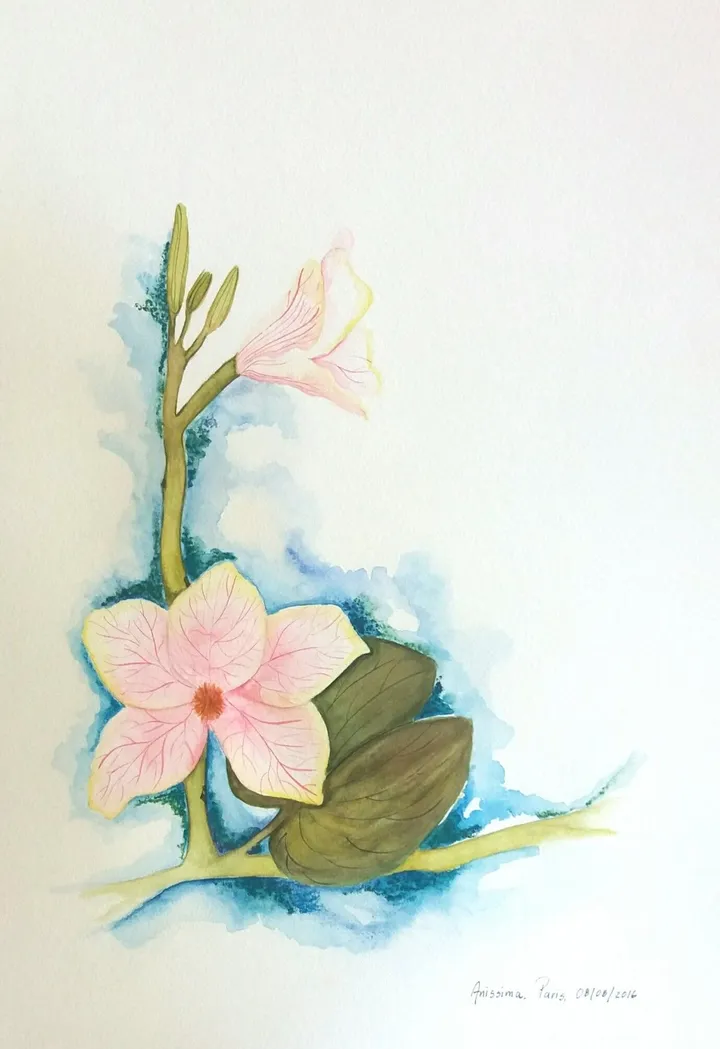 ORQUIDEA, œuvre de Ana V
