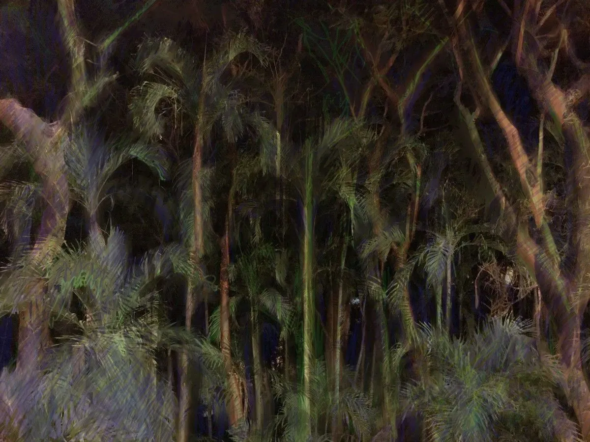 jungle black, artwork by Fausto Cantu
