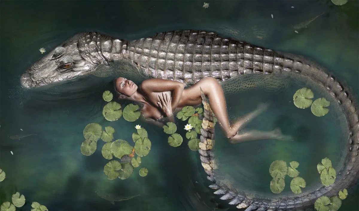 Wildlife, œuvre de Alexis Hernandez