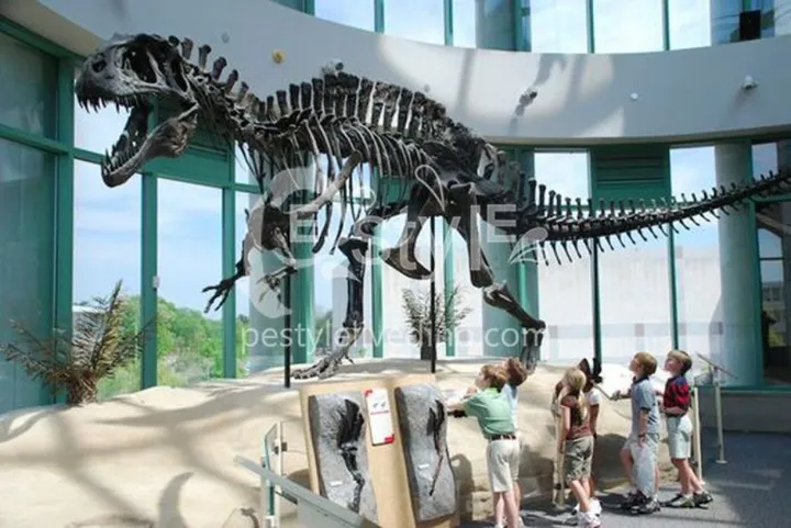 Dinosaur Skeleton T Rex, œuvre de pestyle livedino