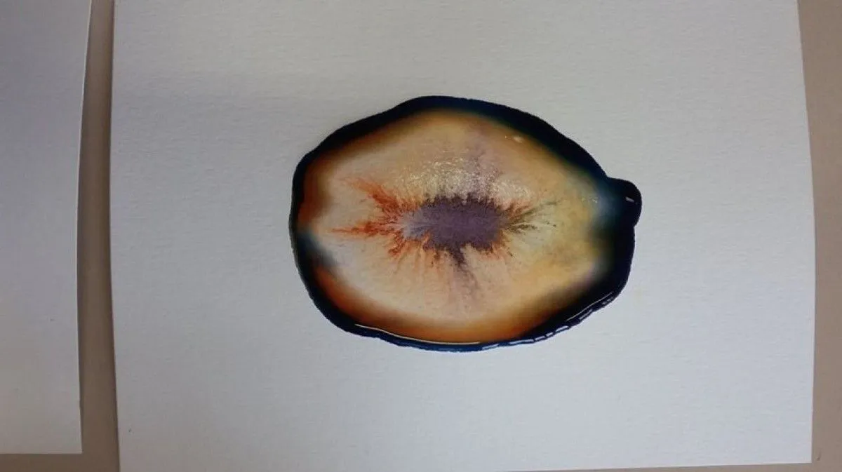 Naissance, œuvre de olivier lasseel