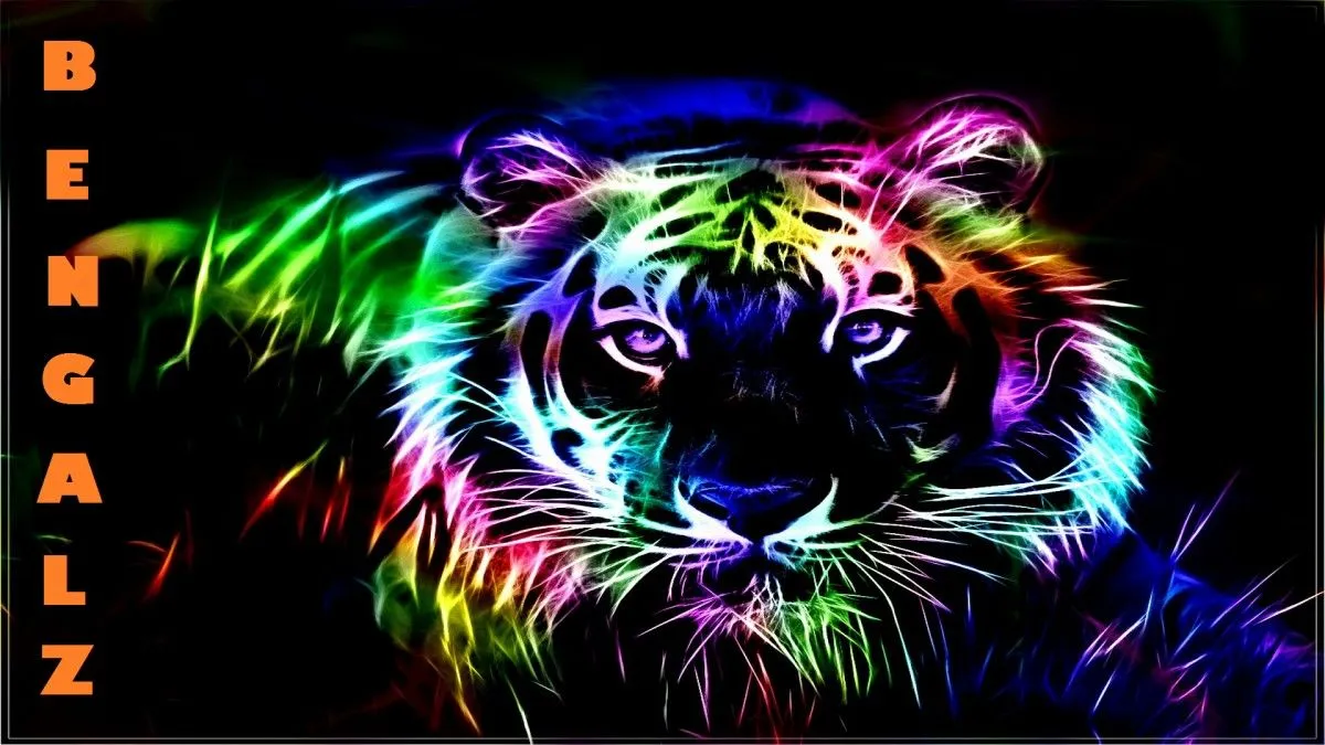 bengalz, œuvre de Babbu Vocal