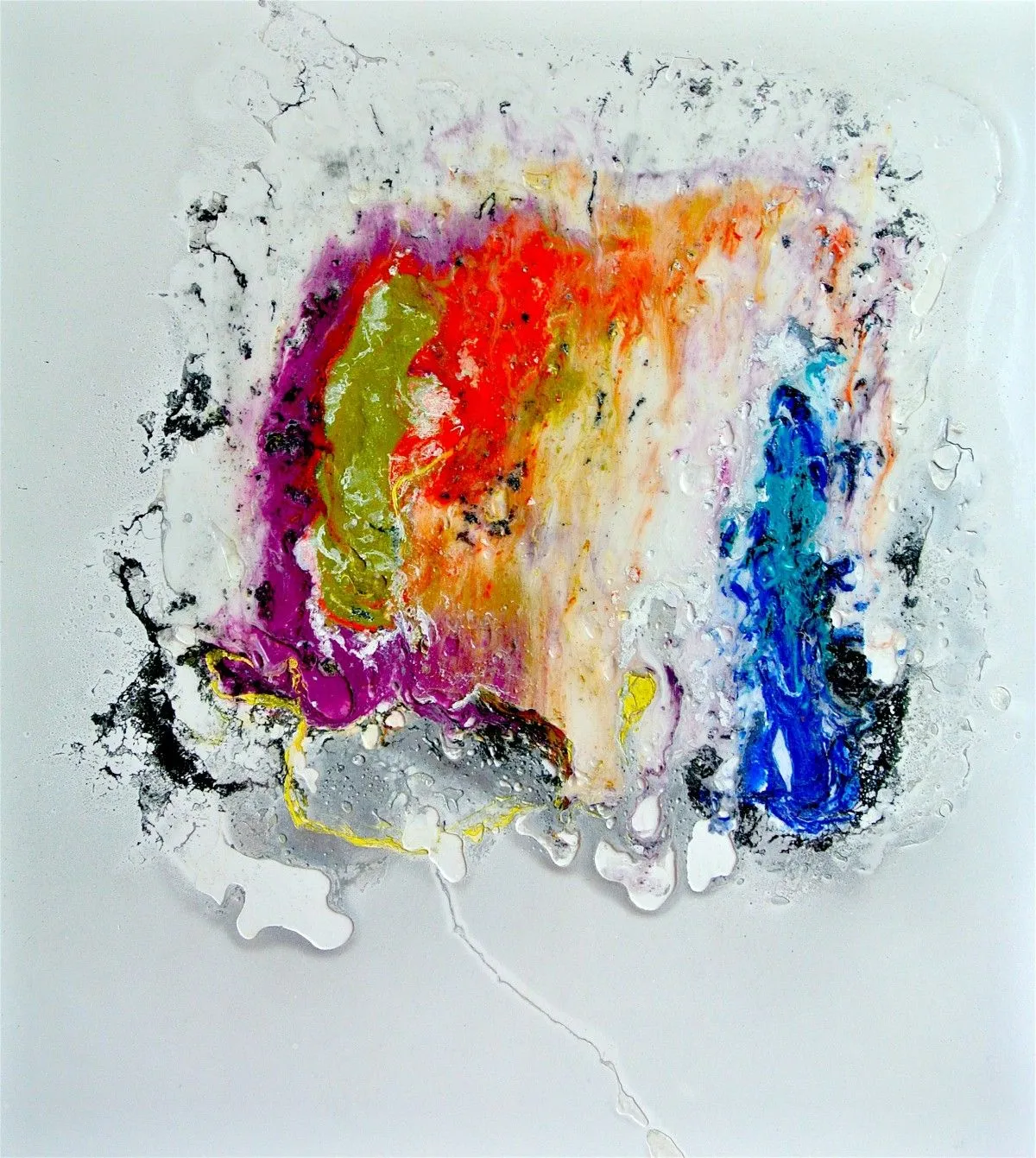 Coral Reef, œuvre de Fanny Rice