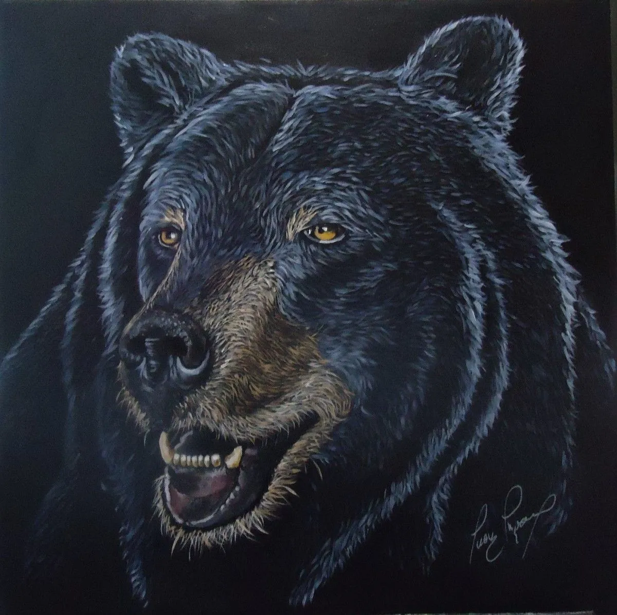 Canadian Black Bear, artwork by Lucie Theroux